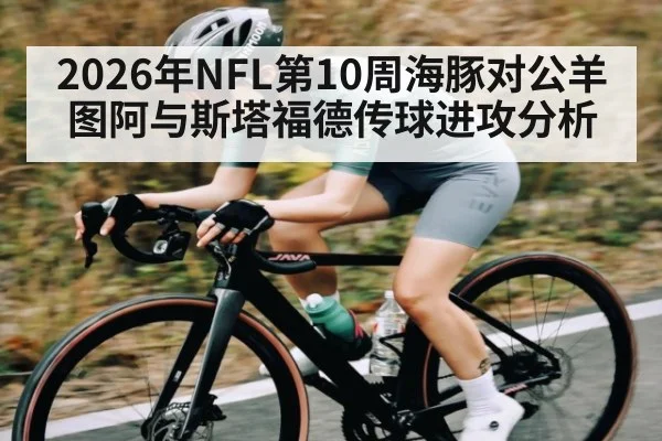 2026年NFL第10周海豚对公羊 图阿与斯塔福德传球进攻分析
